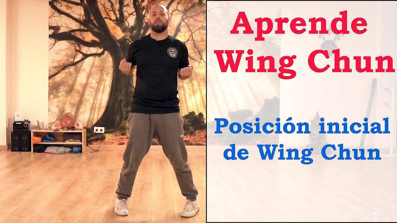 Aprende Wing Chun Online